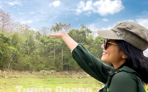 Loài cây gì đang nở hoa đỏ núi đồi, ở nơi này của Tuyên Quang đưa khách du lịch lên ngắm, chụp ảnh?