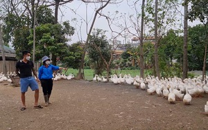 Hà Nội: Hạt nhân Đoàn xã Sơn Công, huyện Ứng Hòa, yêu nông nghiệp, nuôi ước mơ phát triển kinh tế địa phương