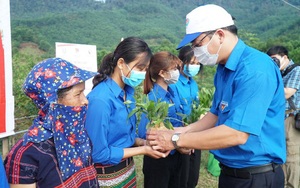 Thừa Thiên Huế: Trao tặng 70.000 cây xanh cho huyện A Lưới 