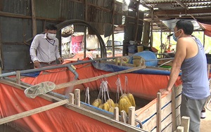Giá lươn nuôi giảm 80.000-100.000 đồng/kg, nông dân nuôi con đặc sản ở Đồng Tháp đành phải làm điều này