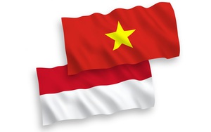 Vì sao GDP và thu nhập của người Việt Nam lại thấp hơn Indonesia, nền kinh tế Đông Nam Á duy nhất lọt vào G20?