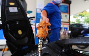 Giá xăng dầu hôm nay 29/3: Dầu vẫn neo cao, bỏ luôn 2 loại thuế để giảm giá xăng?