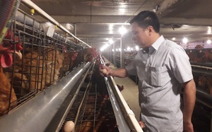 Đến nhà một ông tỷ phú nông dân Thái Nguyên xem cách nuôi gà đẻ điều khiển bằng điện thoại thông minh