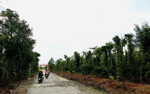Đắk Lắk: Hàng loạt sai phạm trong đầu tư xây dựng tại huyện Cư M'gar