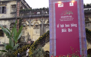 Lào Cai: Khám phá dinh thự cổ của "Vua Mèo" phủ đầy hoa hồng dịp lễ hội Tình yêu