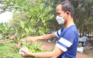 Làm việc theo nhóm là gì mà giúp &quot;việc đồng áng&quot; của nông dân ở Tây Ninh trôi chảy?