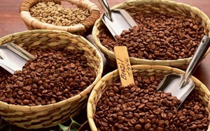 EU kiểm soát dư lượng Furan và Alkylfurans, doanh nghiệp xuất khẩu cà phê, nước hoa quả đặc biệt chú ý