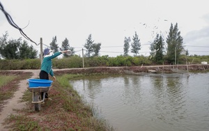 Nam Định muốn xóa sổ khu thủy sản 431ha Cồn Xanh: KCN bên cạnh bỏ hoang, sao nỡ lấy đất của dân (Bài 3)