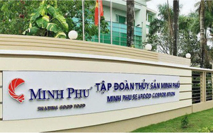 Thủy sản Minh Phú (MPC) được quyền sử dụng chỉ dẫn địa lý sản phẩm tôm tại Cà Mau