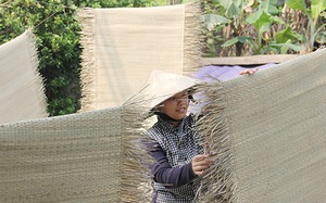 Nghệ An: Cánh đồng trồng thứ cỏ dại này xơ xác, biết là làng nghề cũng buồn tênh