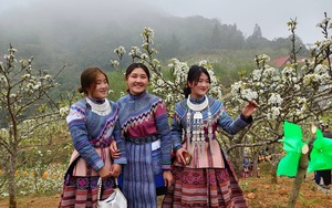 Nông thôn Tây Bắc: Đặc sắc Lễ hội hoa lê trắng đầu tiên ở Lào Cai