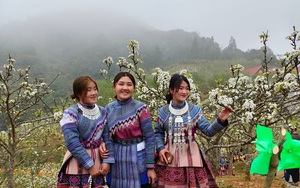 Lần đầu tiên Si Ma Cai tổ chức lễ hội hoa lê, chiêm ngưỡng vẻ đẹp thiếu nữ Mông bên rừng hoa trắng