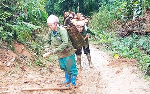 Thì ra lộc rừng mùa xuân ở Bắc Kạn là một thứ  &quot;rau rừng&quot; mọc nhọn hoắt trồi từ dưới đất lên