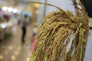 Giá gạo Thái Lan dự báo tăng 5% trong quý II