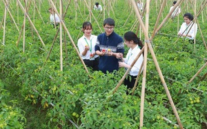 Tuyển sinh đại học năm 2022: Học viện Nông nghiệp Việt Nam tuyển sinh những ngành nào?