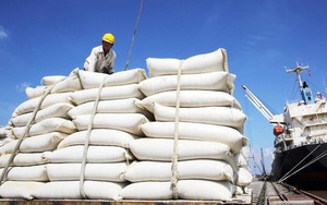 Ưu đãi nhập khẩu 300.000 tấn gạo từ Campuchia với thuế suất đặc biệt