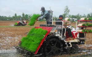 Ứng dụng công nghệ cao vào sản xuất lúa