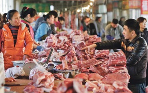 Trung Quốc quyết mua thịt lợn để dự trữ, giá thịt lợn sẽ nhảy?