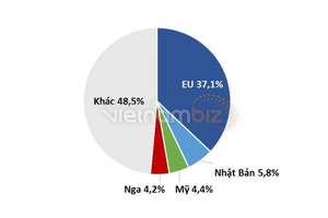 Doanh nghiệp lo xuất khẩu cà phê sang Nga bị gián đoạn