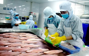 Trung Quốc đột nhiên mua lượng khổng lồ một loài thủy sản của Việt Nam