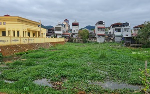 Yên Bái: Chăn nuôi, giết mổ gia súc gây ô nhiễm ngay giữa trung tâm thị xã 