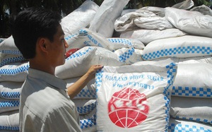 Giá đường thế giới “leo thang”, ngành đường trong nước vẫn “chật vật”