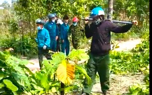 Nhân viên bảo vệ rừng bị hành hung, dọa giết cả gia đình