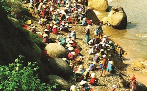 Mực Duồng ở Bình Thuận là tên một loài cá mực đặc sản hay đơn giản chỉ là một vùng biển?