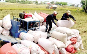 Trung Quốc tiêu thụ lượng gạo khổng lồ 150 triệu tấn, mua của Việt Nam bao nhiêu?
