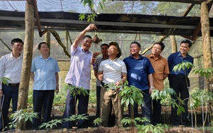 Sơn La kiểm tra tiến độ một số dự án đón Thủ tướng lên đối thoại với nông dân