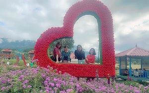 Đồi Tình yêu ở Lai Châu trồng cây cảnh, trồng hoa, xung quanh đồng lúa bao la, khách xa khách gần chụp ảnh