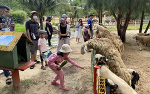 Du lịch bùng nổ, nghỉ dưỡng đa trải nghiệm hút khách