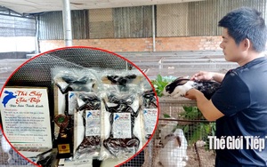 Bình Thuận: Độc đáo món thỏ sấy gác bếp của núi rừng Tánh Linh 