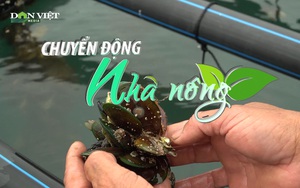 Chuyển động Nhà nông 15/4: Nhuyễn thể Việt Nam được xuất khẩu tới 42 nước, thu về cả trăm triệu USD trong năm 2021