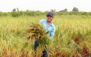 Cà Mau làm OCOP “thà chậm mà chắc”