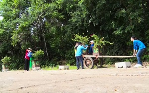 Quảng Nam: Đường làng đẹp ngỡ ngàng qua đôi bàn tay của những chiếc áo xanh 