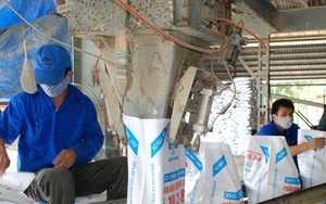 Supe Phốt phát và Hóa chất Lâm Thao (LAS): Lợi nhuận quý I/2022 tăng gần 27%