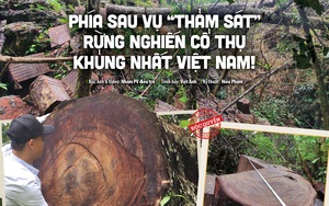 Vụ phá rừng nghiến cổ thụ khủng nhất Việt Nam: 5 đối tượng lĩnh hơn 21 năm tù