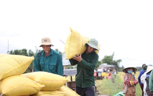 Tổn thất vụ đông xuân, Thứ trưởng Bộ NNPTNT yêu cầu “xắn tay” giúp nông dân no ấm vụ hè thu