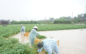 Phó Thủ tướng Lê Văn Thành: Nếu dự báo, cảnh báo sớm, đợt mưa trái mùa ở Nam Trung Bộ sẽ giảm thiểu thiệt hại