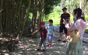 Độc đáo hòn đảo, “vương quốc” của những chú khỉ ở Khánh Hòa