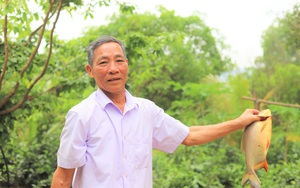 Hà Tĩnh: Cả làng cho là “khùng”, ấy thế mà ông nông dân này biến đồi hoang thành trang trại thu tiền tỷ