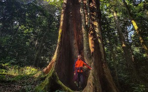 Ninh Bình phát triển quần thể du lịch xanh được làm bằng cây tre "khủng" nhất Đông Nam Á