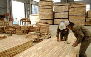 Mỹ gia hạn thời gian ban hành kết luận với gỗ dán cứng nhập từ Việt Nam