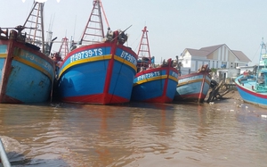 Bộ NNPTNT đề nghị hai tỉnh Bến Tre, Tiền Giang khẩn trương chấm dứt một việc trong khai thác hải sản