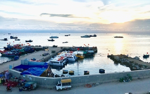 Quảng Ngãi: Giao nhiệm vụ quản lý, khai thác cảng và bến tàu Lý Sơn cho các cấp ngành 