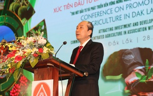 Đất nông nghiệp lớn nhất cả nước, Chủ tịch tỉnh Đắk Lắk cam kết "trải thảm đỏ" cho nhà đầu tư
