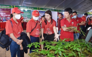 "Kho báu" quý giá dưới những tán rừng Tây Nguyên đang chờ được đánh thức