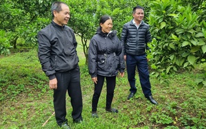 Agribank Chi nhánh huyện Mộc Châu giúp nông dân Vân Hồ làm giàu