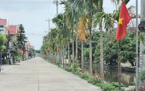 Đây là loại cây cảnh trồng bên con đường hoa xã nông thôn mới ở Ninh Bình khiến dân tình trầm trồ
